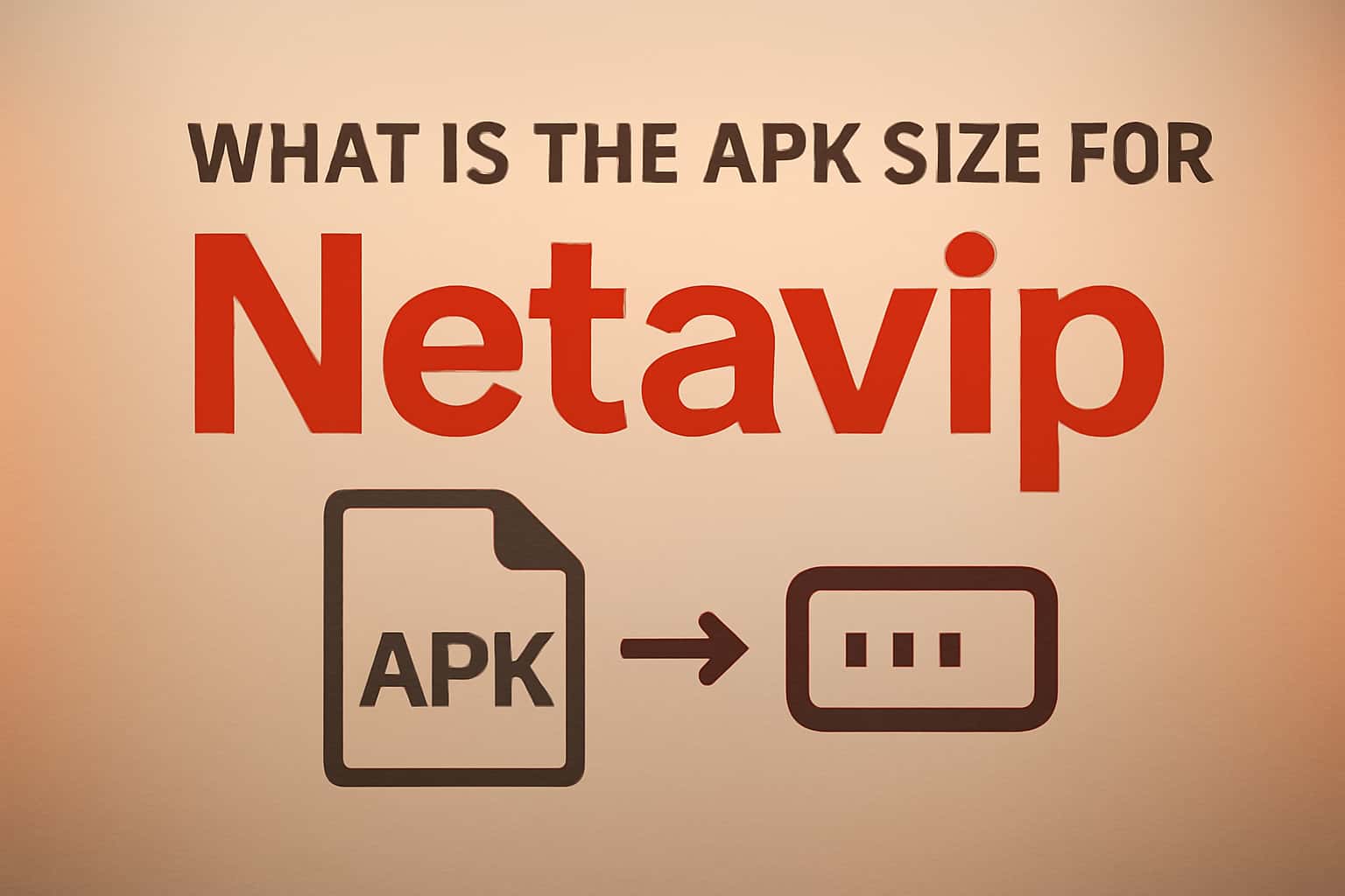 Informative visual on APK size for Netavip.